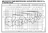 NSCS 125-200/110/W46VCC4 - График насоса NSC, 4 полюса, 2990 об., 50 гц - картинка 3
